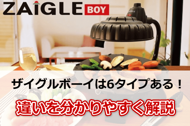 ザイグルボーイの6タイプの販売方法を解説